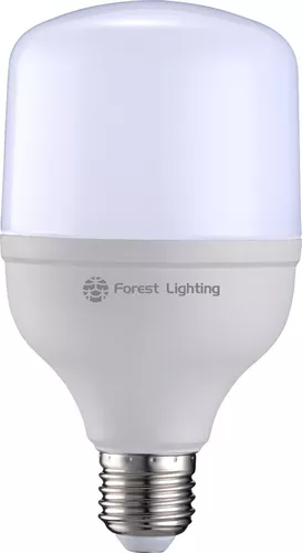 FOREST LIGHTING LAMPARA GALPONERA WA3-04-30-30W LUZ FRIA 6500K